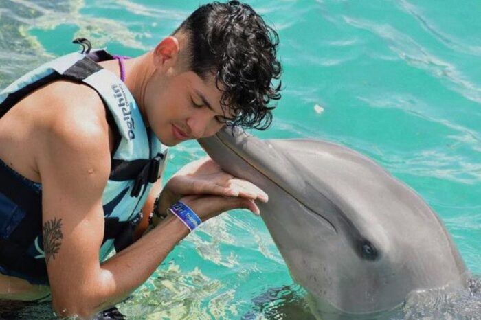 Dolphin Encounter Isla Mujeres