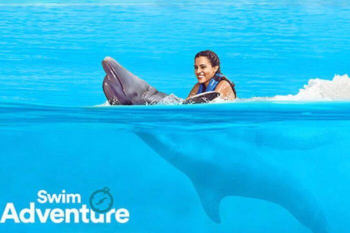 Dolphin Swim Adventure Playa Del Carmen